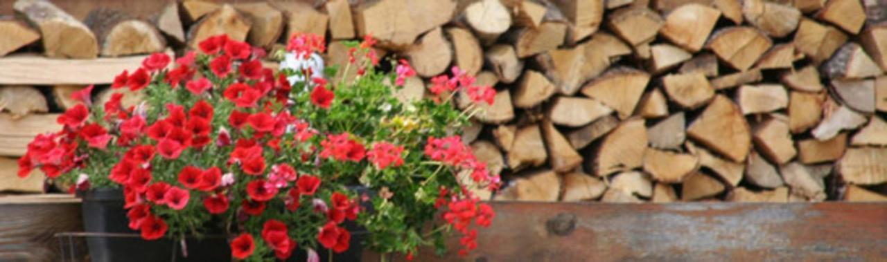 Le Barlet23 Pers Hameau Des Chazals Nevache Hautes Alpes Ngoại thất bức ảnh